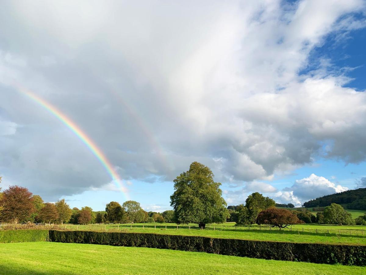 Bed and Breakfast Castlehacket House Belclare Esterno foto